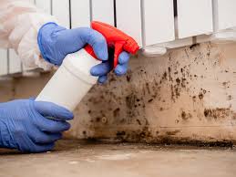 Best HVAC Mold Inspection and Cleaning  in Ramblewood, NJ